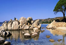 官方网站-关于西亚卡姆焦点对战，莱万多夫斯基与60激战MAD分钟，反败为胜胜负难料！的信息